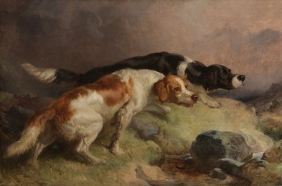 Setters op de heide door Thomas Woodward